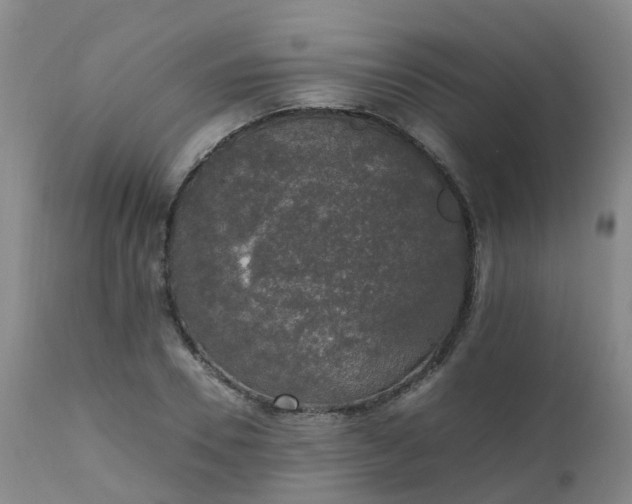 X0000111250930200907091420