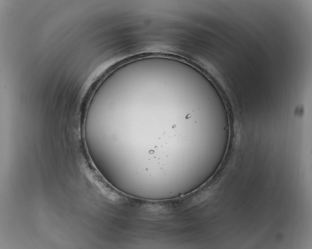 X0000111250931200907091420