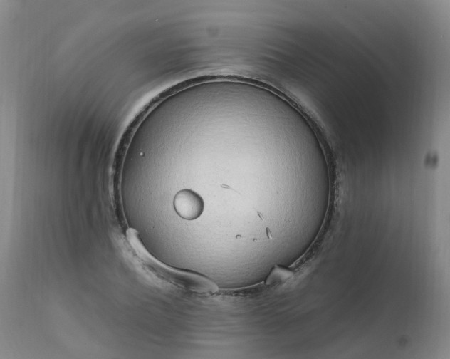 X0000111250932200907091420