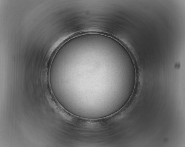 X0000111250933200907091420