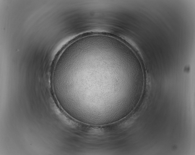 X0000111250935200907091420