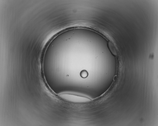 X0000111250936200907091420