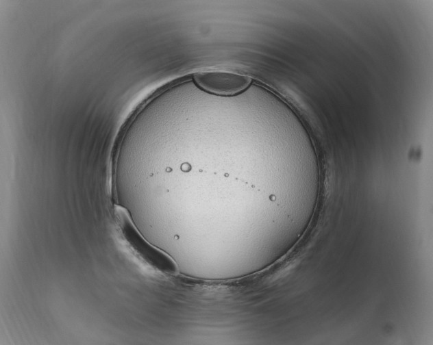 X0000111250940200907091420