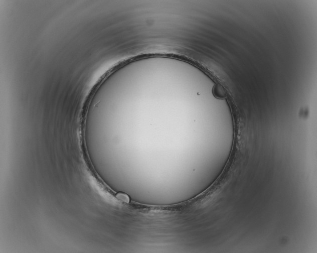 X0000111250942200907091420