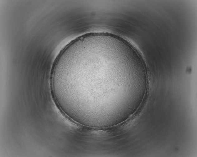 X0000111250943200907091420