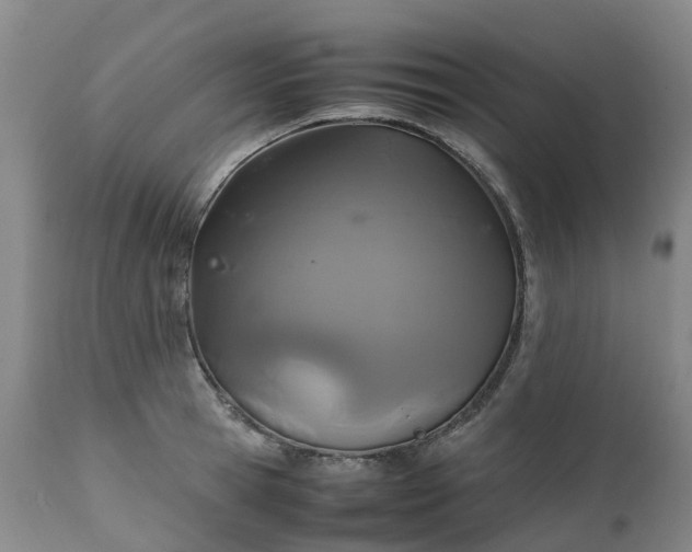 X0000111250945200907091420