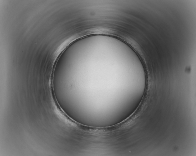 X0000111250946200907091420