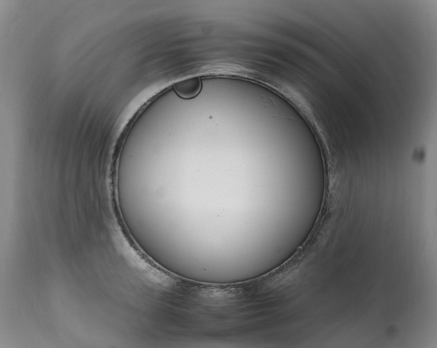 X0000111250947200907091420