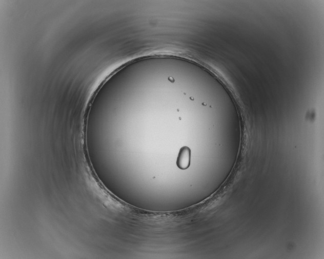 X0000111250948200907091420