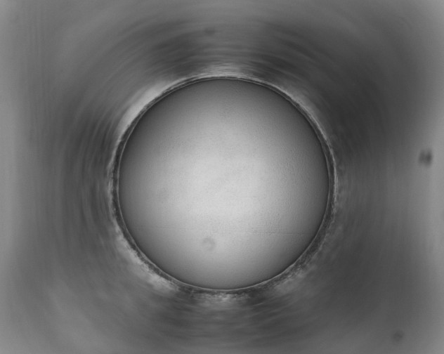 X0000111250949200907091420