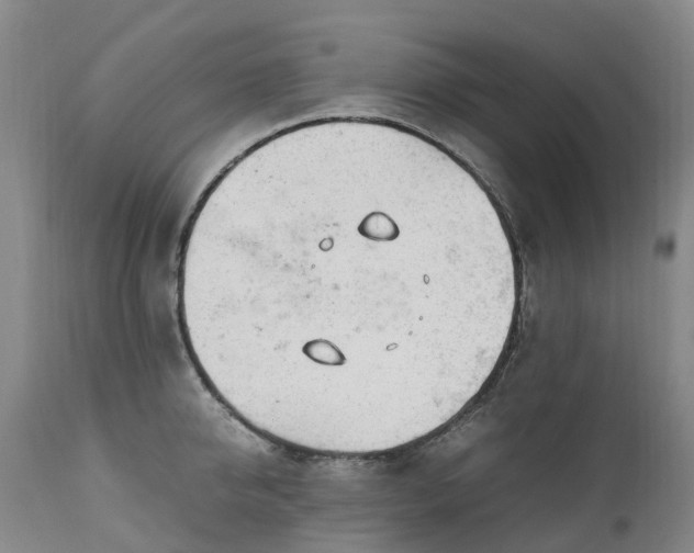 X0000111250950200907091420