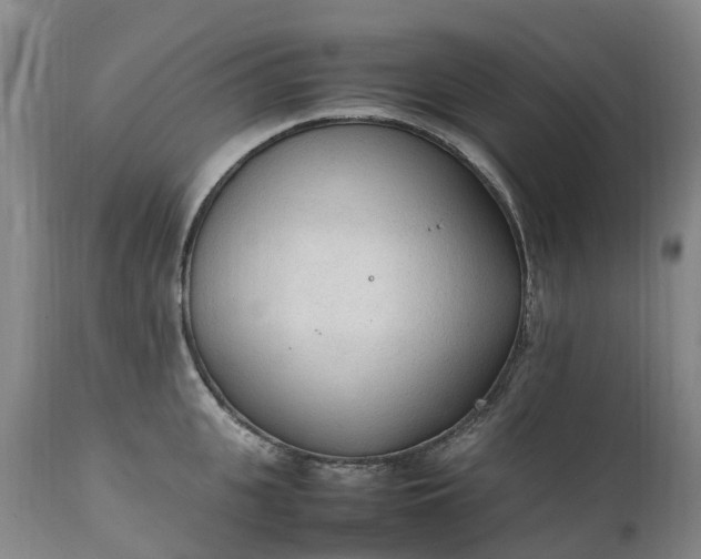 X0000111250951200907091420