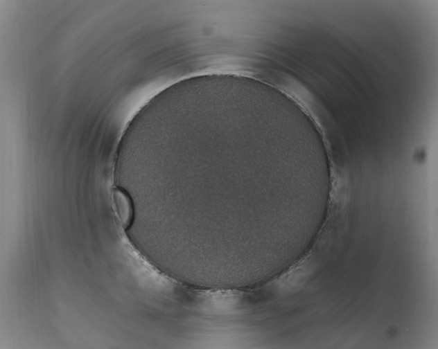 X0000111250952200907091420