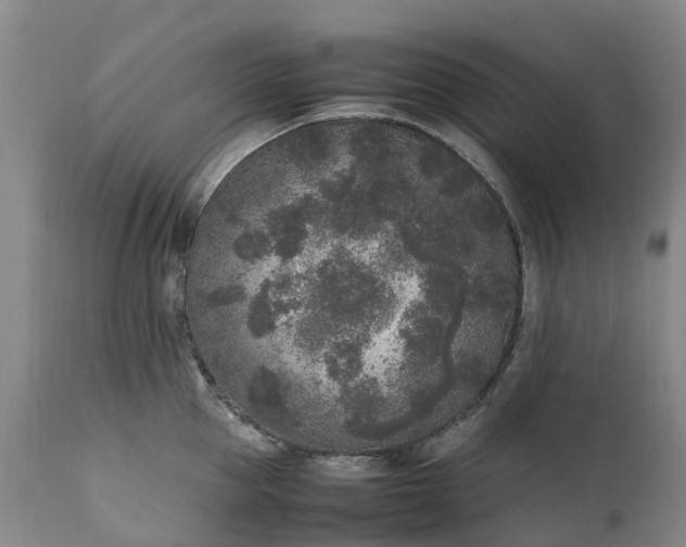 X0000111250953200907091420