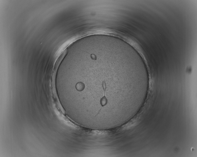 X0000111250954200907091420