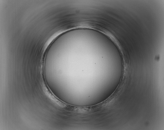 X0000111250955200907091420