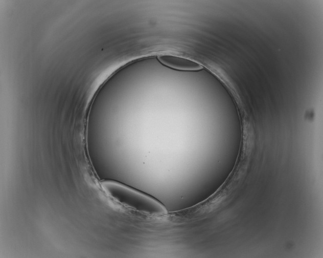 X0000111250956200907091420