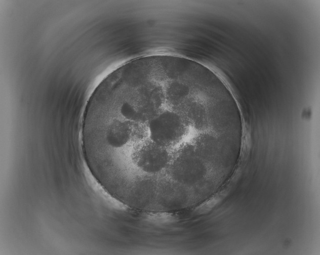 X0000111250957200907091420