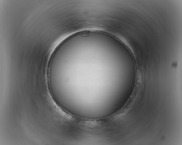 X0000111250959200907091420