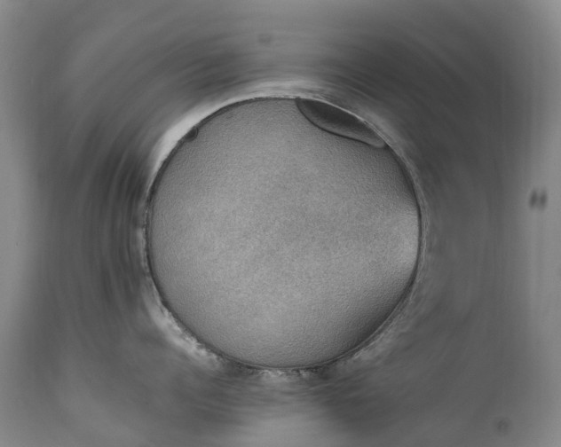 X0000111250960200907091420