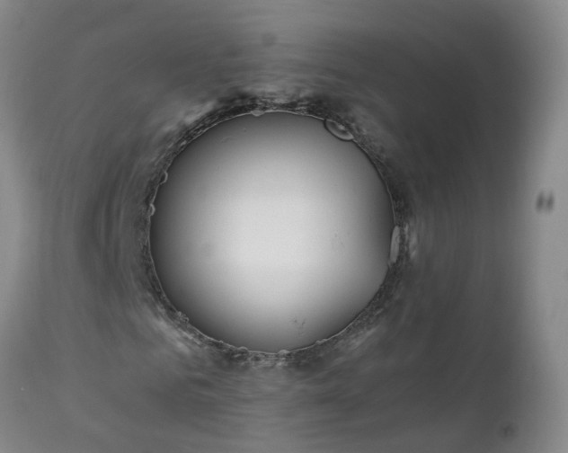 X0000111250961200907091420