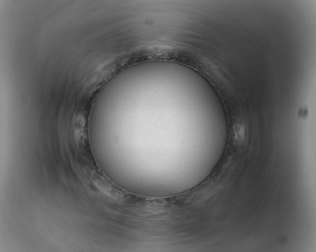 X0000111250964200907091419