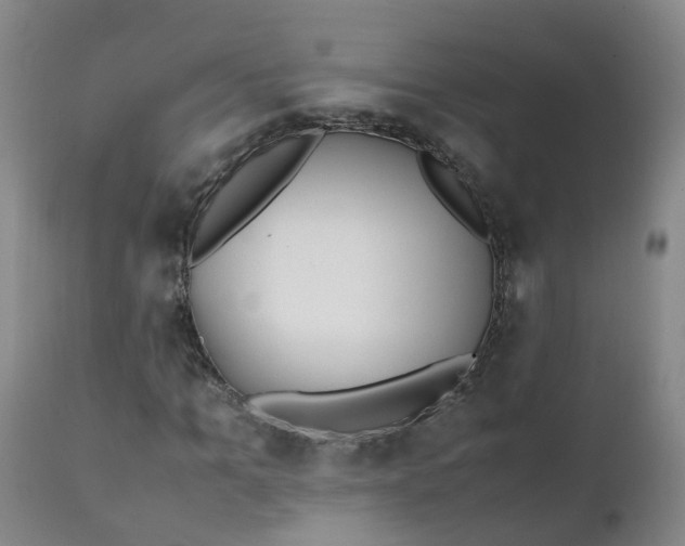 X0000111250965200907091419