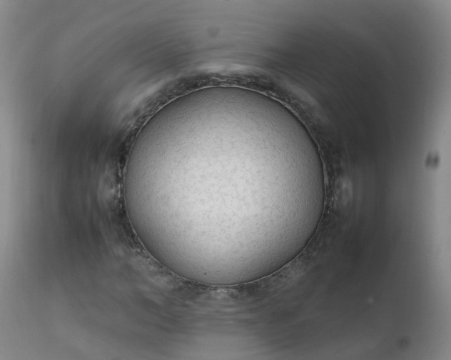 X0000111250966200907091419