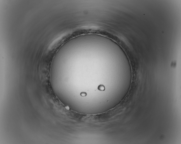 X0000111250967200907091419