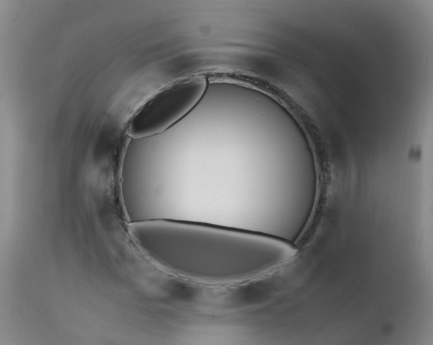 X0000111250969200907091419