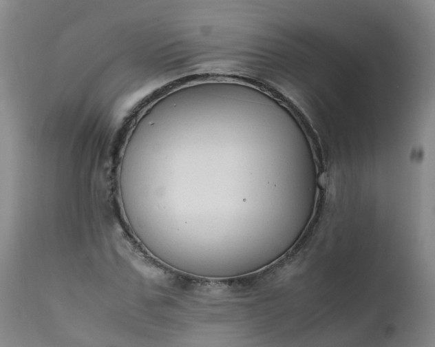 X0000111250971200907091419