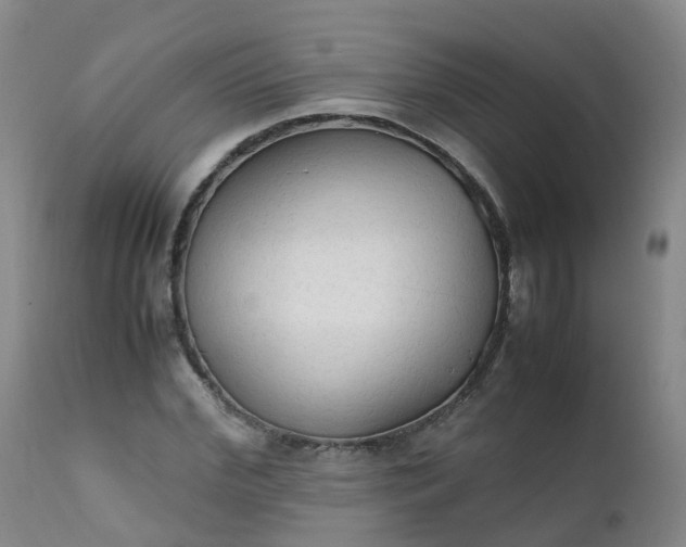 X0000111250972200907091419