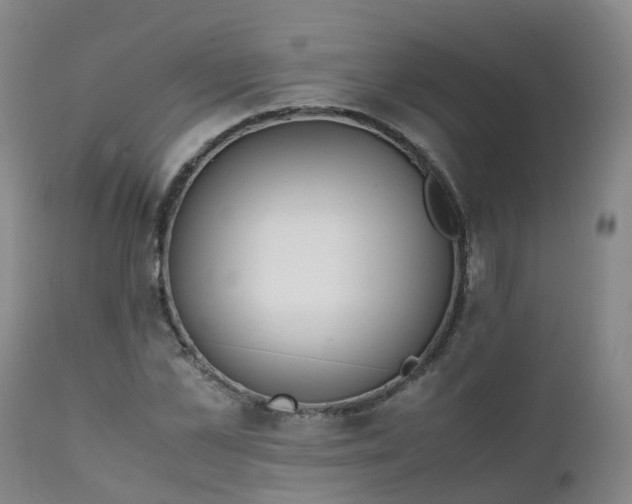 X0000111250973200907091419