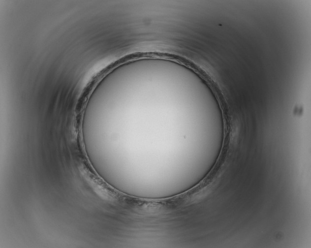 X0000111250974200907091419