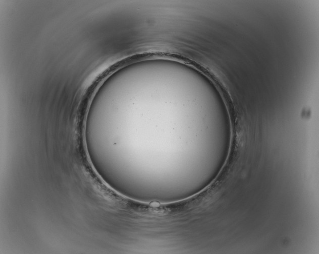 X0000111250975200907091419