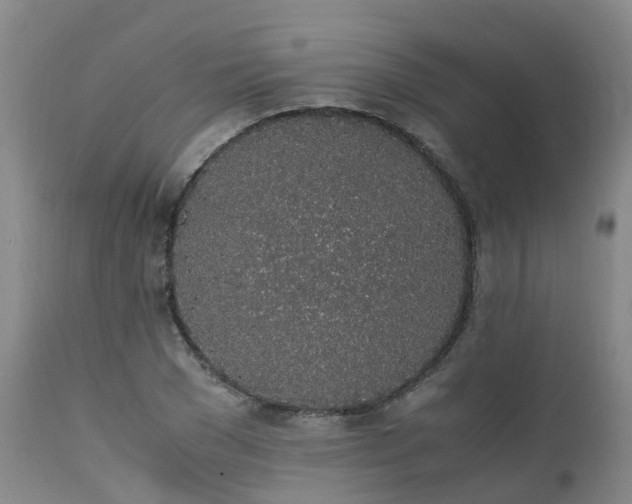 X0000111250977200907091419