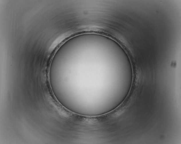 X0000111250978200907091419