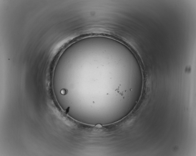 X0000111250979200907091419