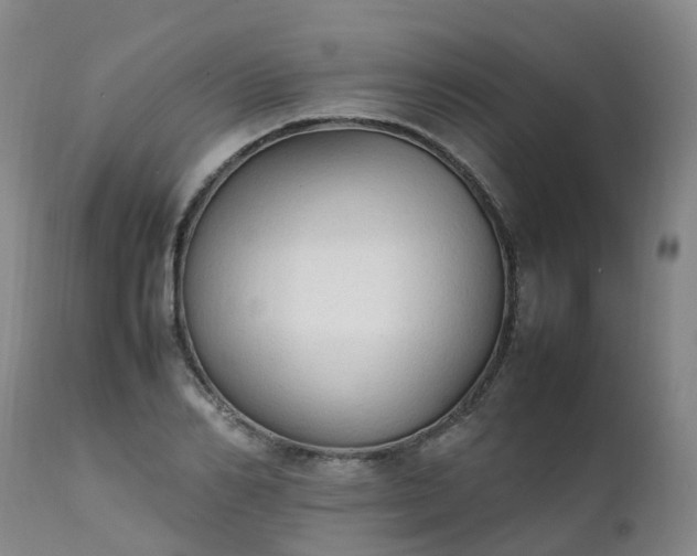 X0000111250982200907091419