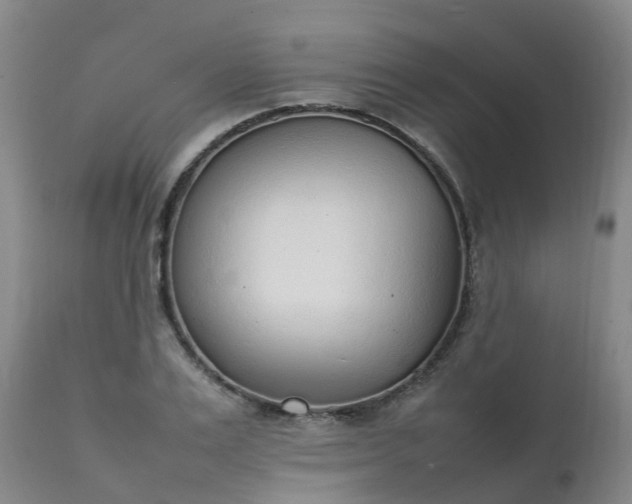 X0000111250983200907091419