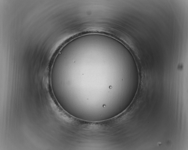 X0000111250984200907091419