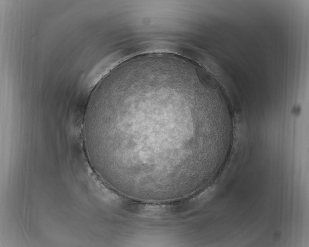 X0000111250985200907091419