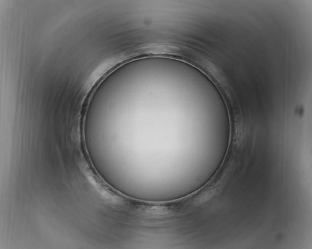 X0000111250986200907091419