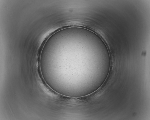 X0000111250987200907091419