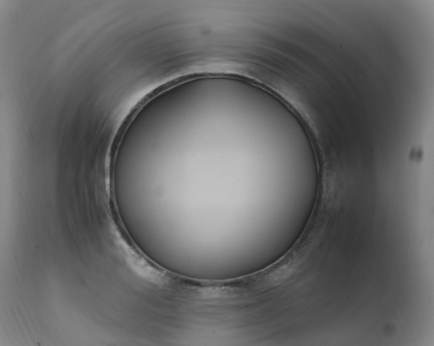 X0000111250988200907091419