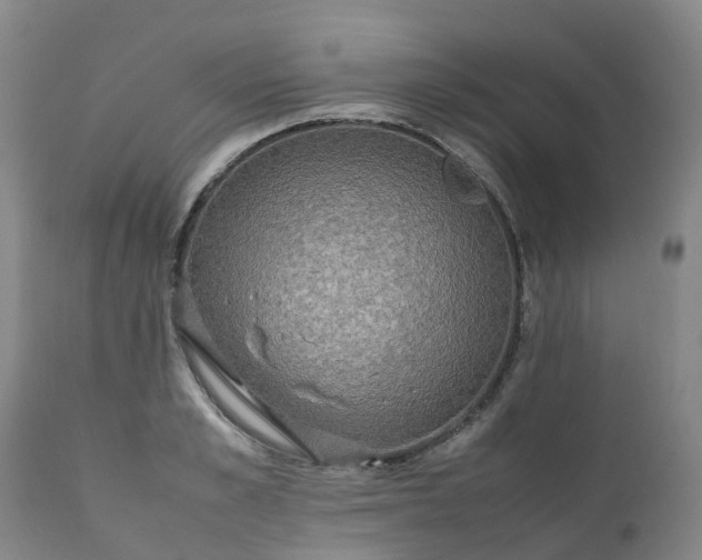 X0000111250989200907091419