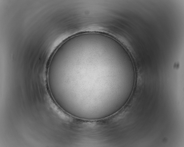 X0000111250990200907091419