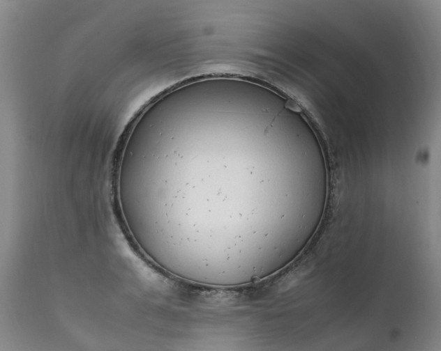 X0000111250991200907091419