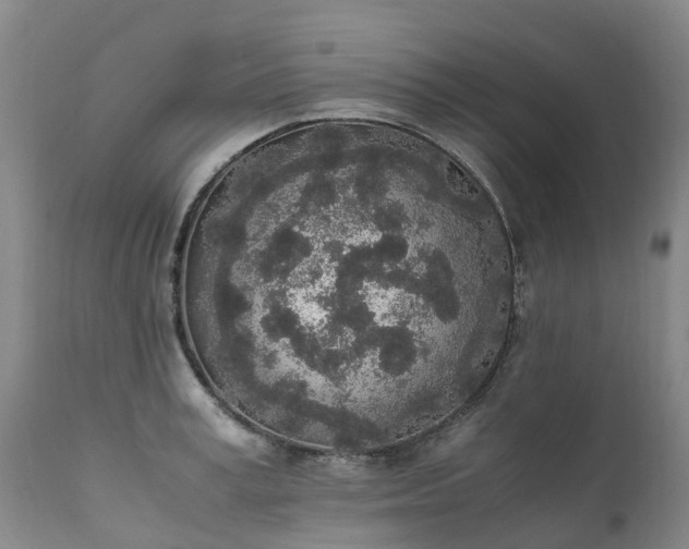 X0000111250995200907091419