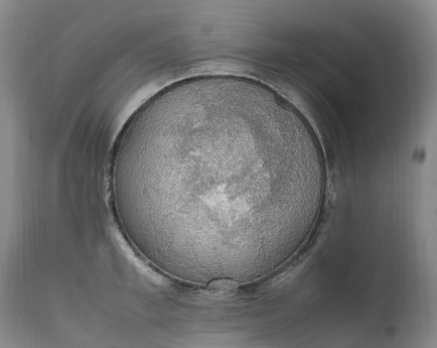 X0000111250997200907091419